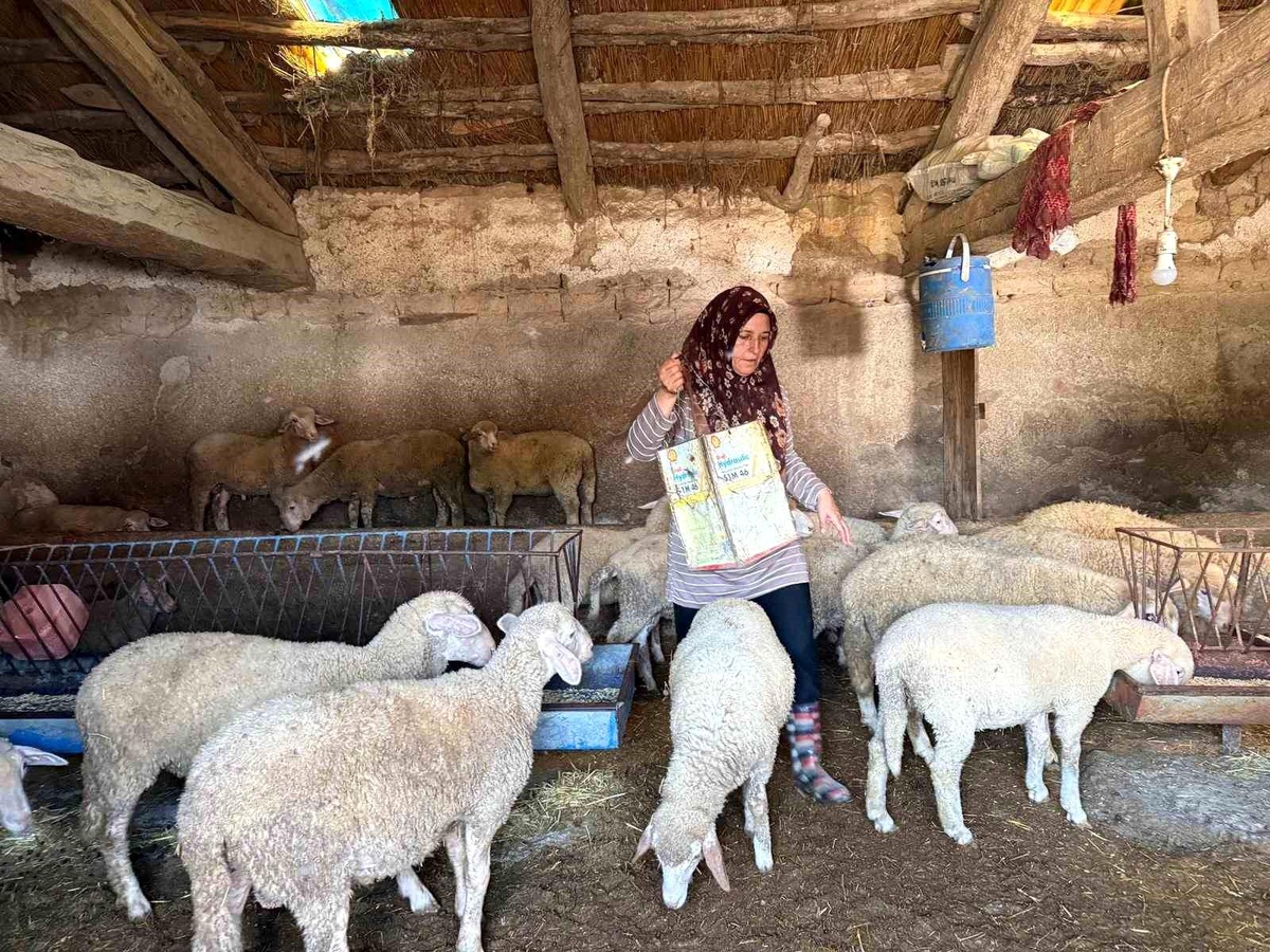 Fatma Çalık\'ın Zorlu Mücadelesi