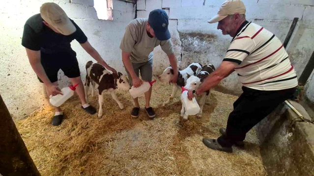 Kırklareli’nde Üçüz Doğum Şaşkınlığı