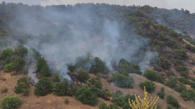 Malatya'da Orman Yangınına Müdahale