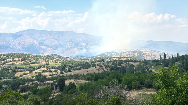 Malatya'da Orman Yangınına Müdahale