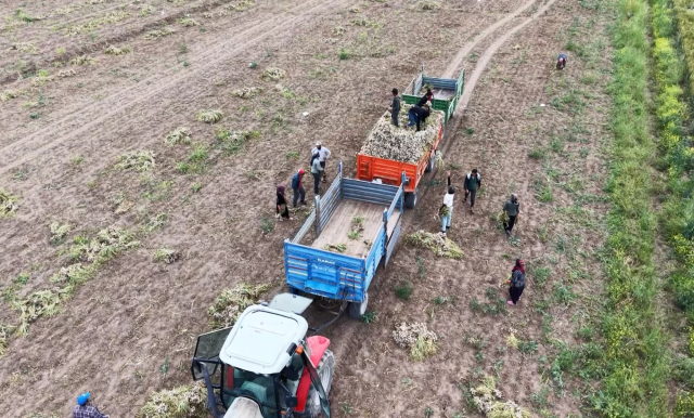 Başlık Parası Evliliği Zorlaştırıyor