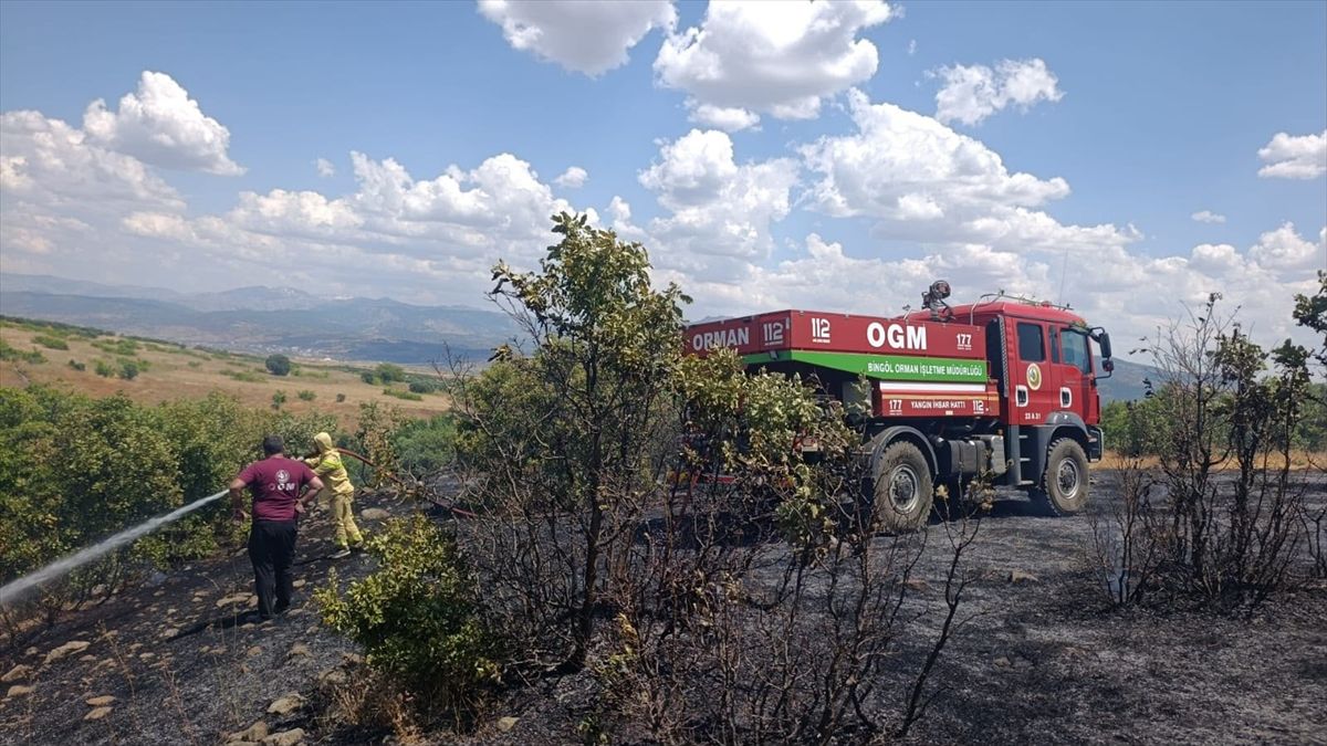 Bingöl\'de Meşelik Yangını Söndürüldü