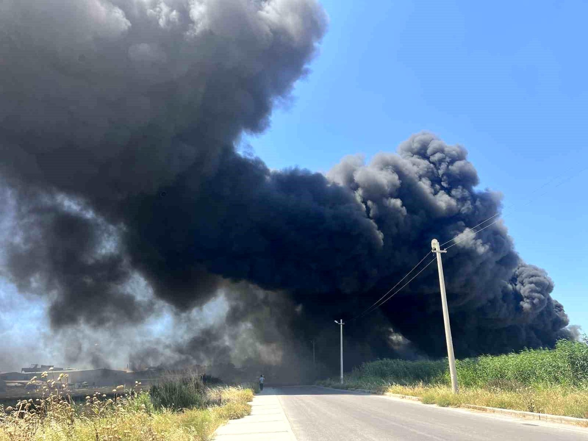 İzmir\'de geri dönüşüm fabrikasında korkutan yangın
