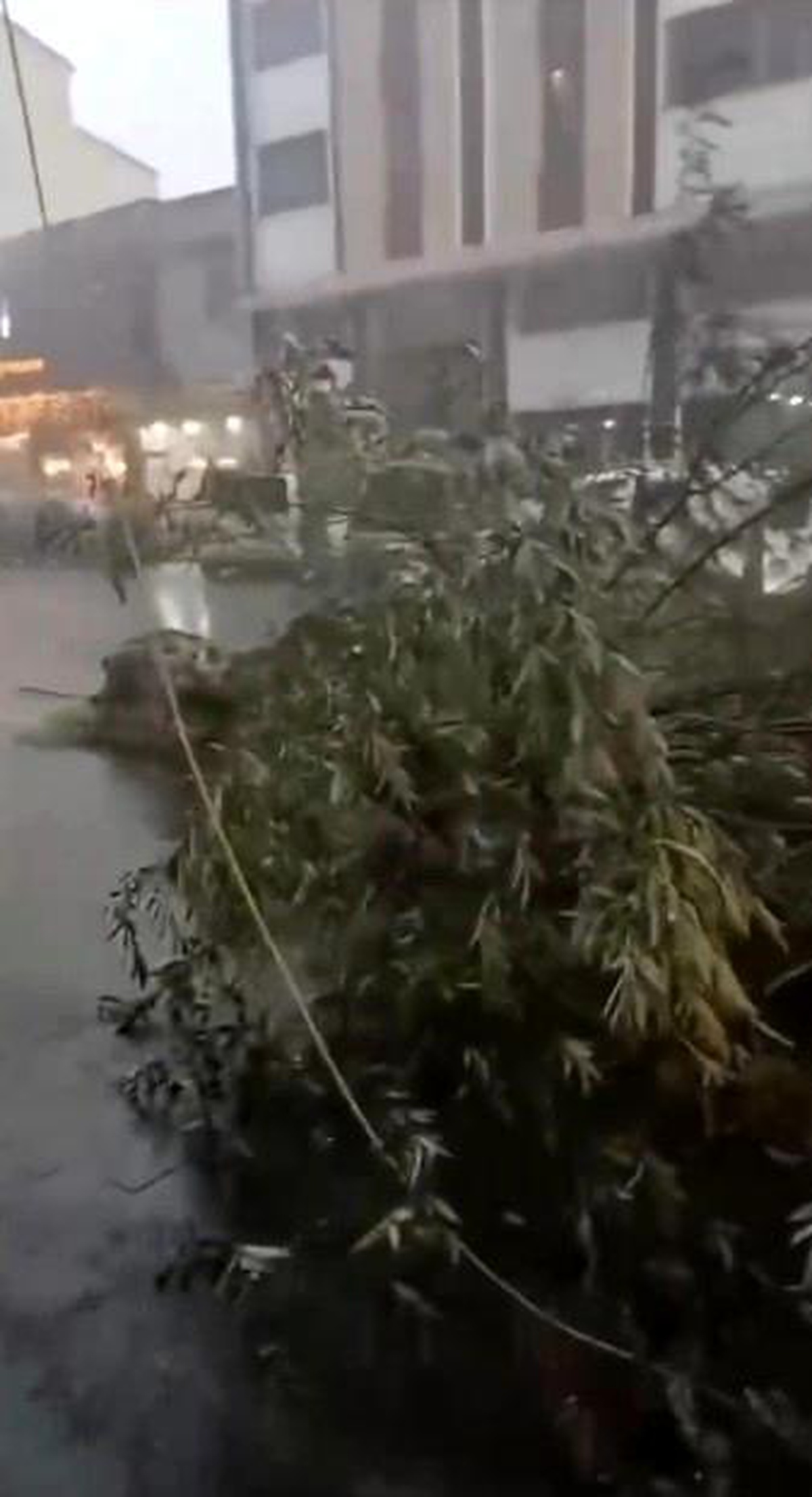 Kars\'ta Fırtına ve Yağmur Hayatı Olumsuz Etkiledi