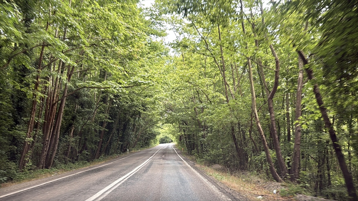 Safranbolu\'nun Yeşil Tüneli