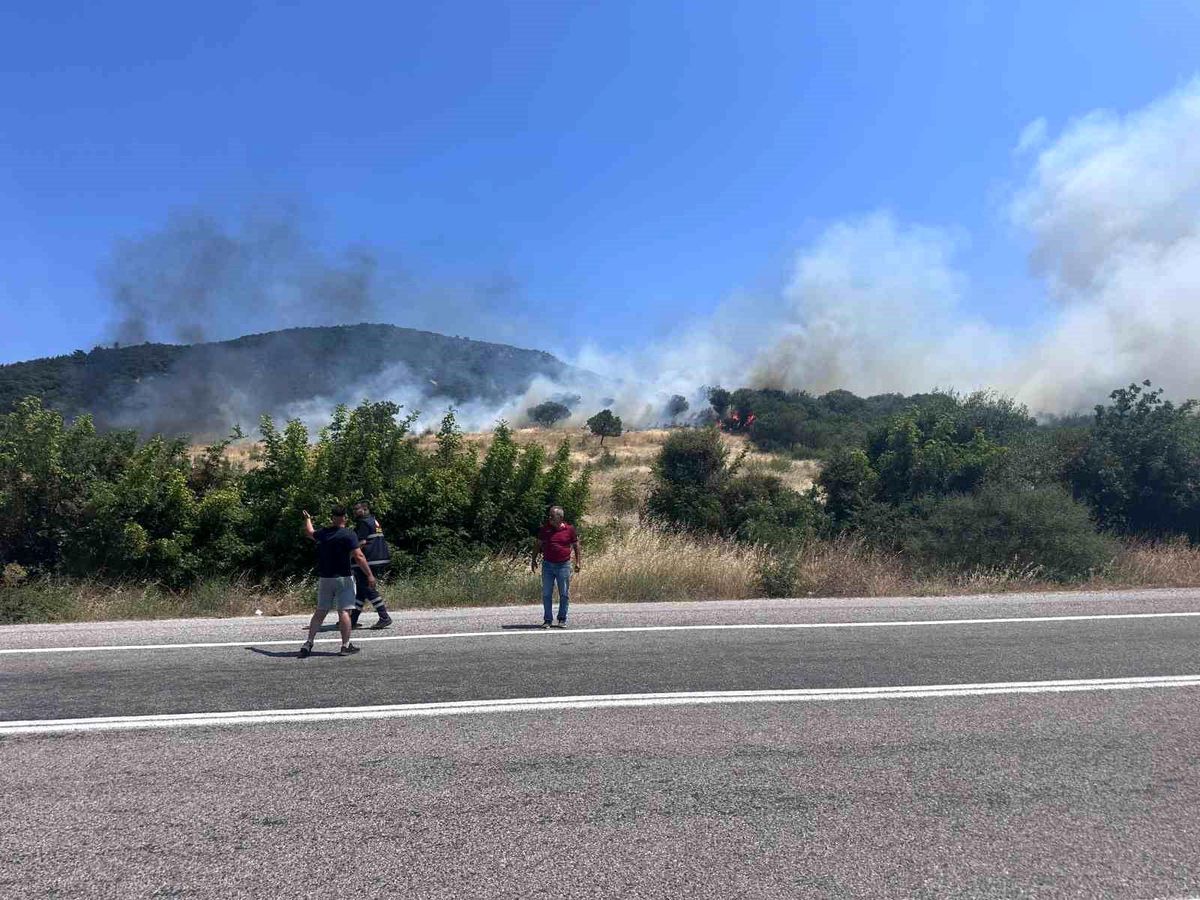 Çanakkale Ayvacık\'ta Orman Yangını