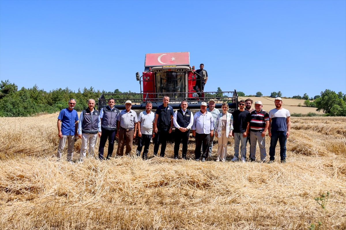 Vali Sözer Buğday Hasadına Katıldı