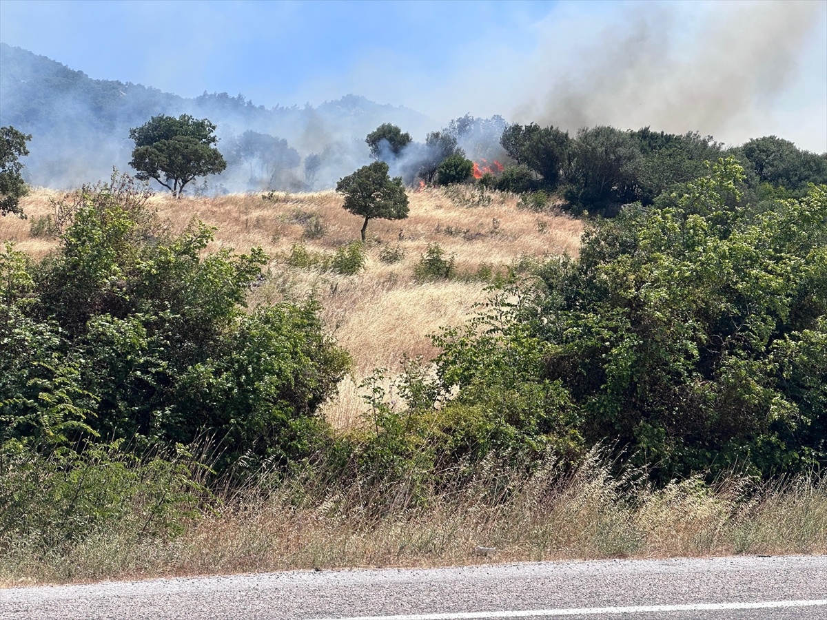 Çanakkale\'de Orman Yangını Kontrol Altına Alındı