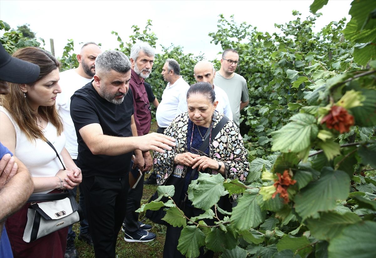 Giresun\'da Fındık Üreticilerine Tarla Günü