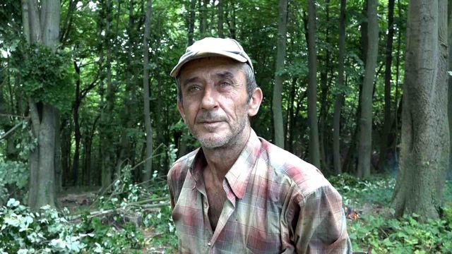 Ihlamur toplarken ağaçtan düşen adam ağır yaralandı