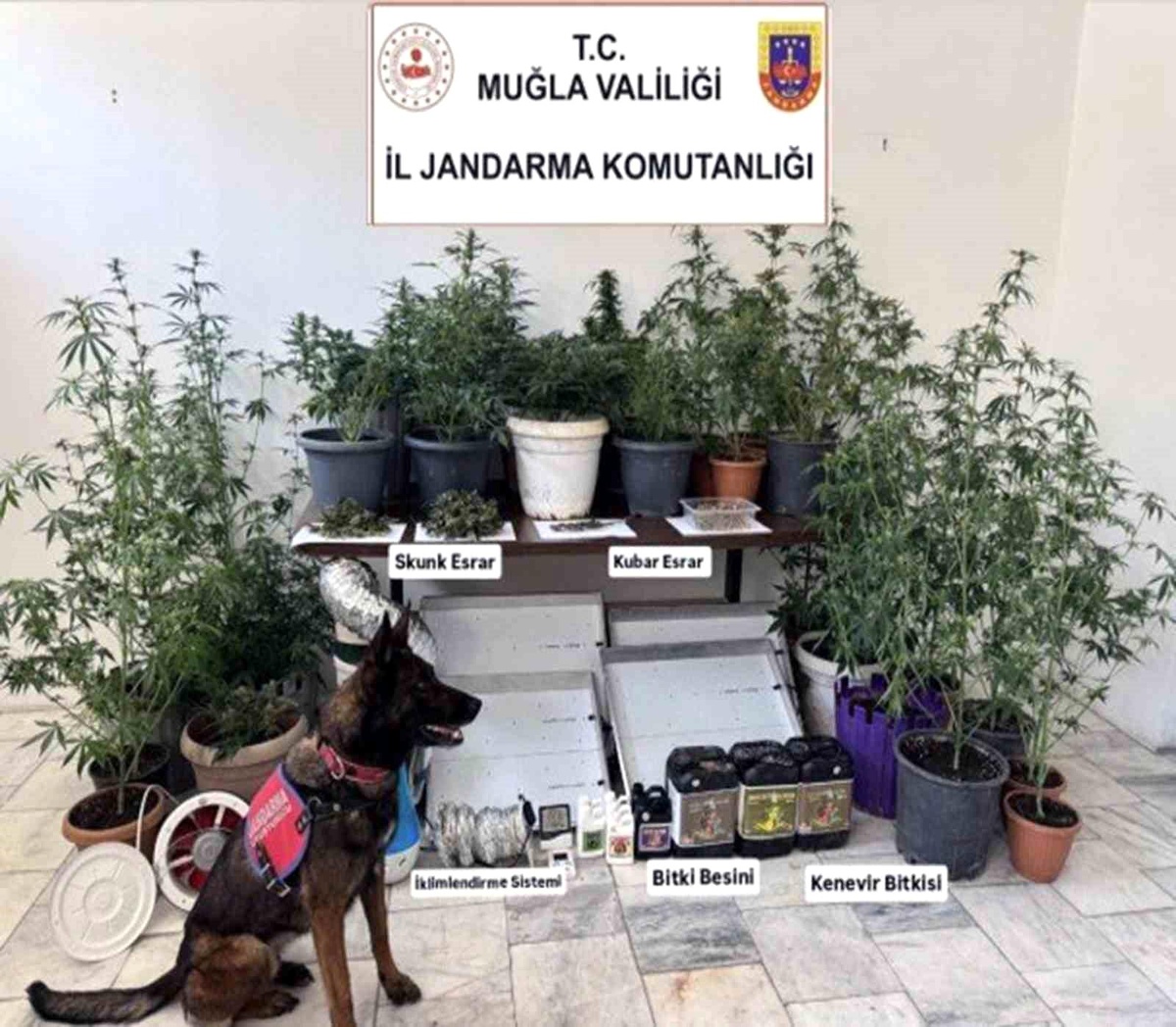 Muğla\'da Uyuşturucu ve Kaçak Ürün Operasyonu