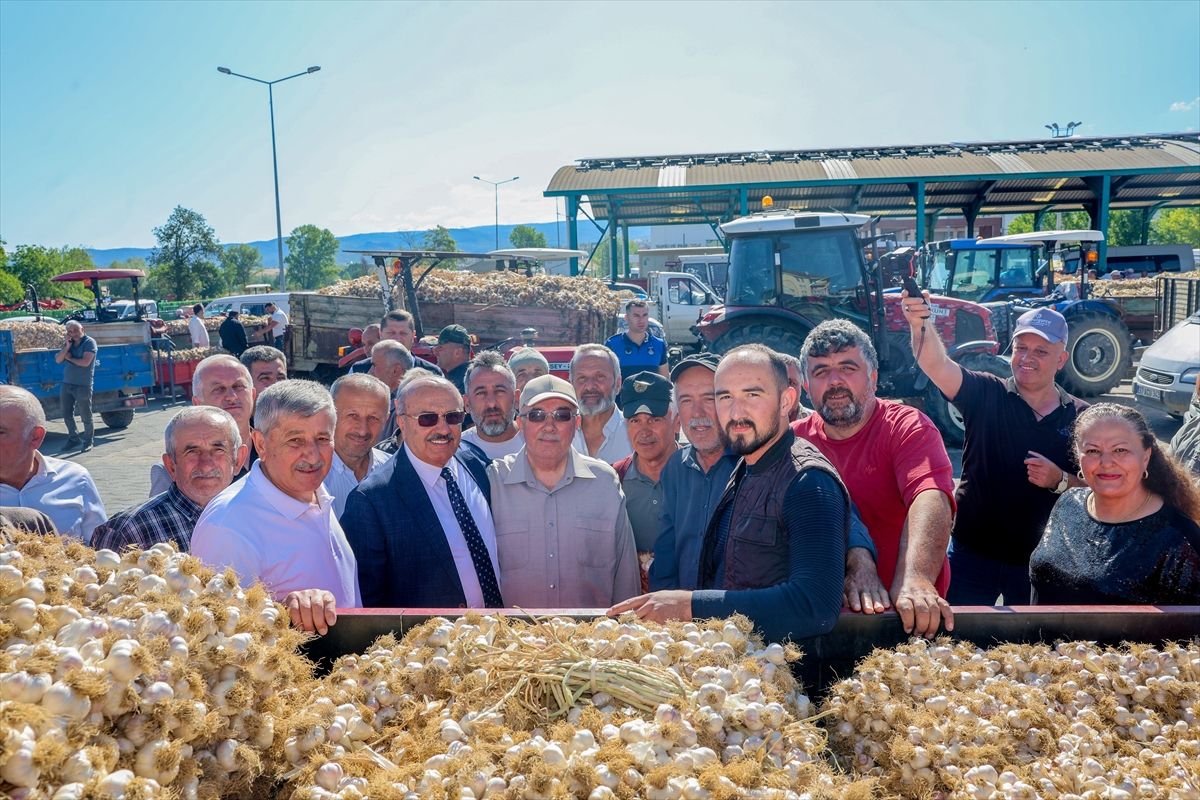 Taşköprü Sarımsağı Sezonu Açıldı