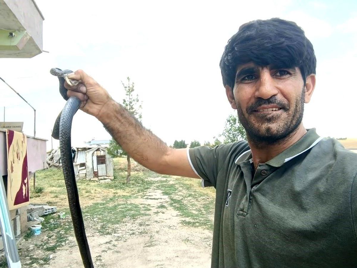 Kurtalan\'da Yılanı Çıplak Elle Yakaladı