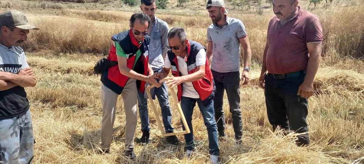Tavşanlı\'da hububat hasadı denetimleri sürüyor