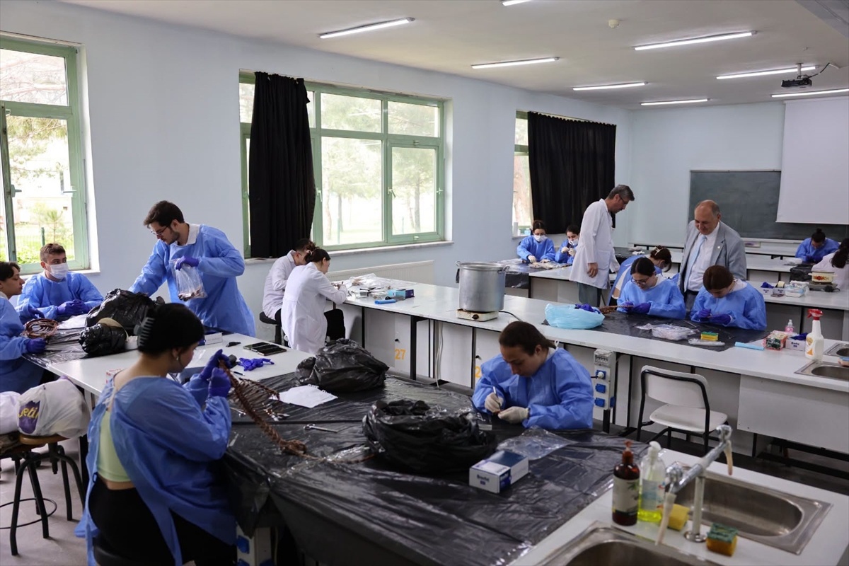 Trakya Üniversitesi\'nde Öğrenciler İskelet Çalışması Yapıyor