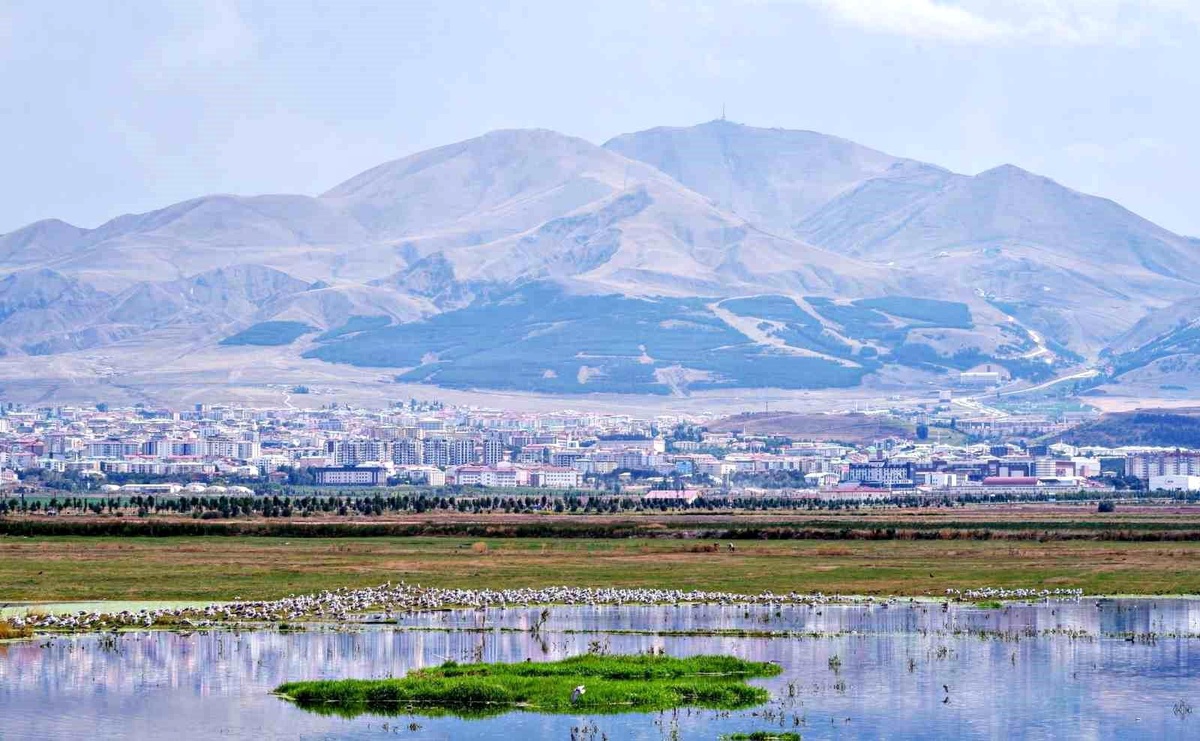 Erzurum\'un Tarihi Belgesi Gün Yüzüne Çıktı