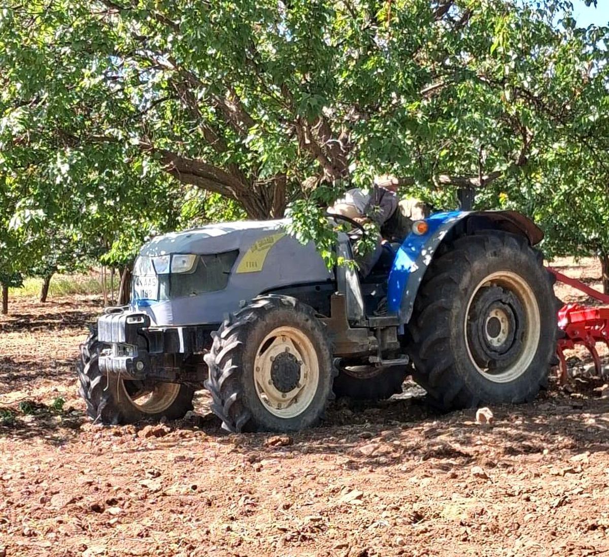 Kayısı Bahçesinde Trajik Kaza