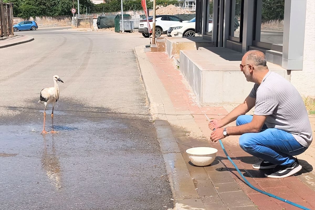 Düşen Leylek Yavrusuna İtfaiye Yardımı