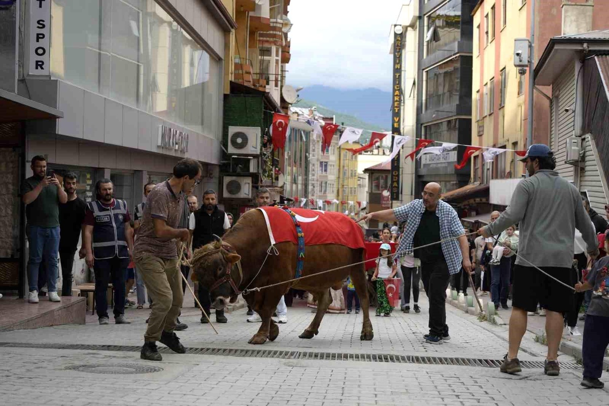 "Kafkasör Festivali" boğalı kortej yürüyüşüyle başladı