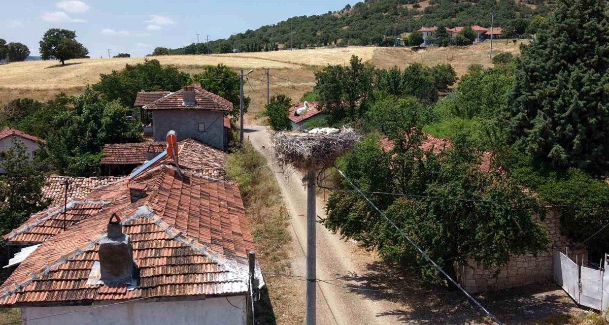 Sofça Köyü\'nde Leylek Geleneği