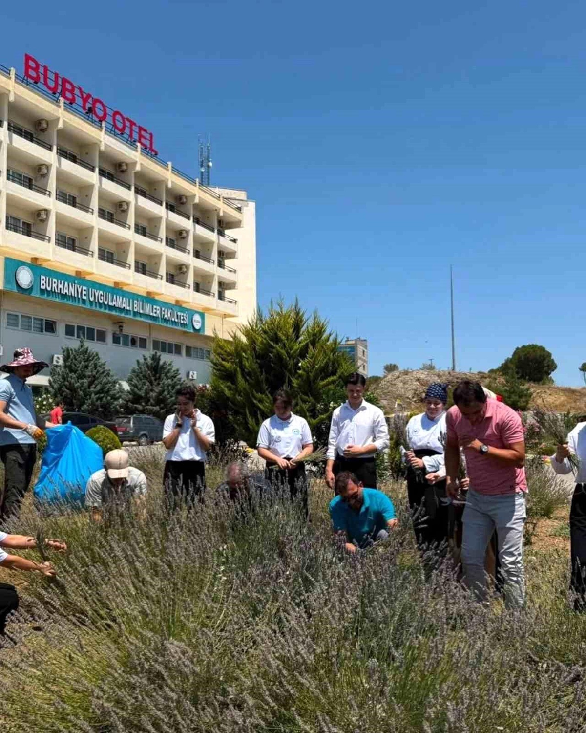 Lavanta kokulu okulda hasat heyecanı yaşandı