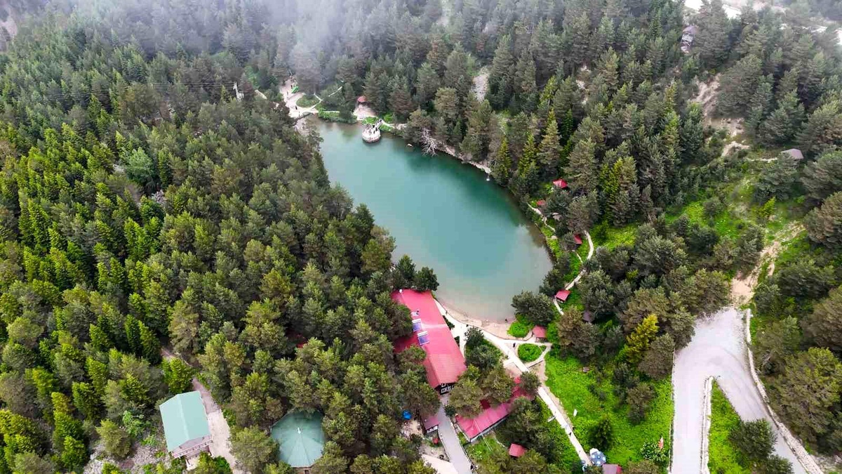 Serin Kaçış: Limni Gölü Tabiat Parkı