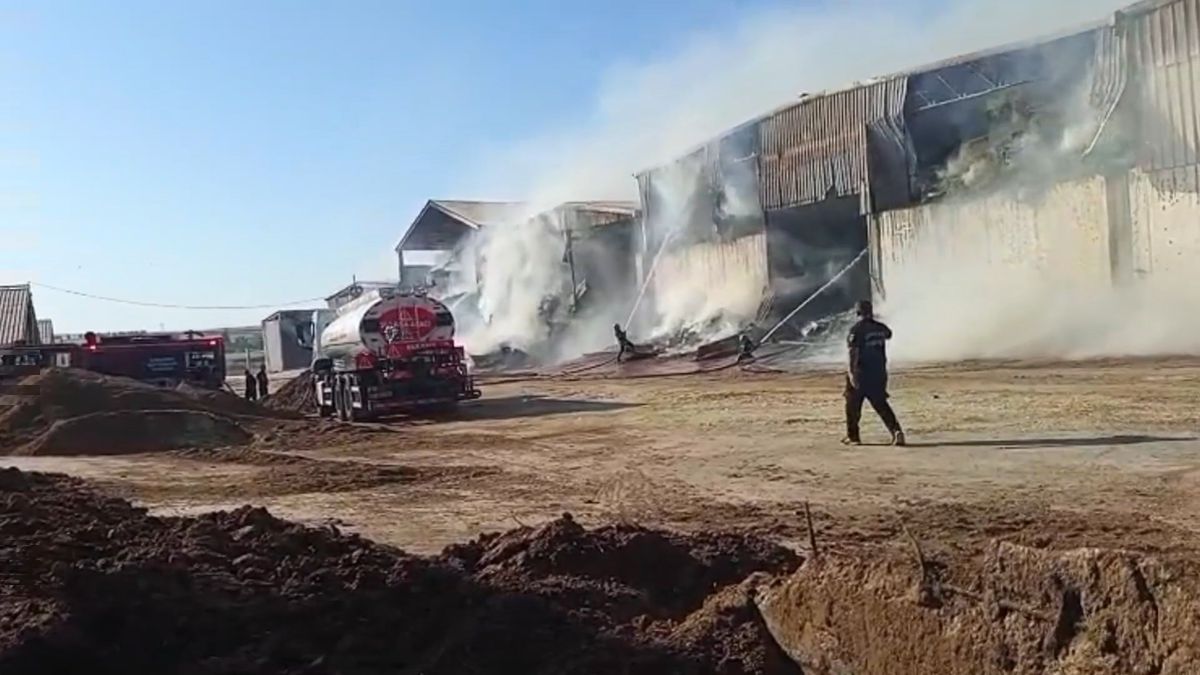 Şanlıurfa\'da Yangın: Yem Balyaları Zarar Gördü