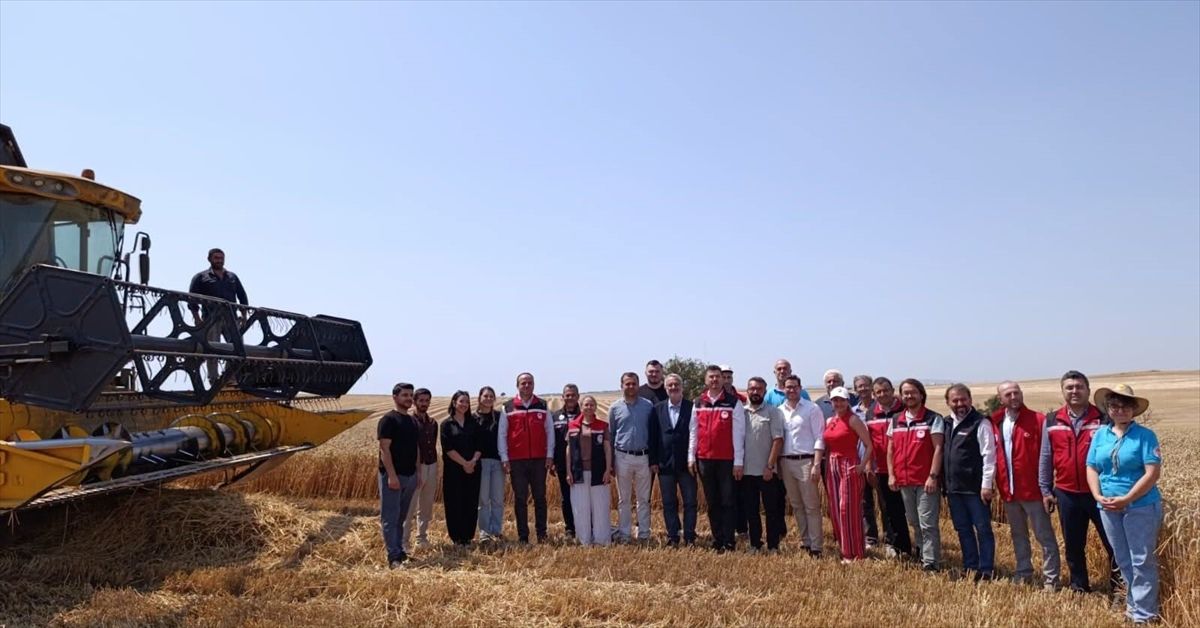 Tekirdağ\'da Gıda Kontaminasyon Değerlendirmesi