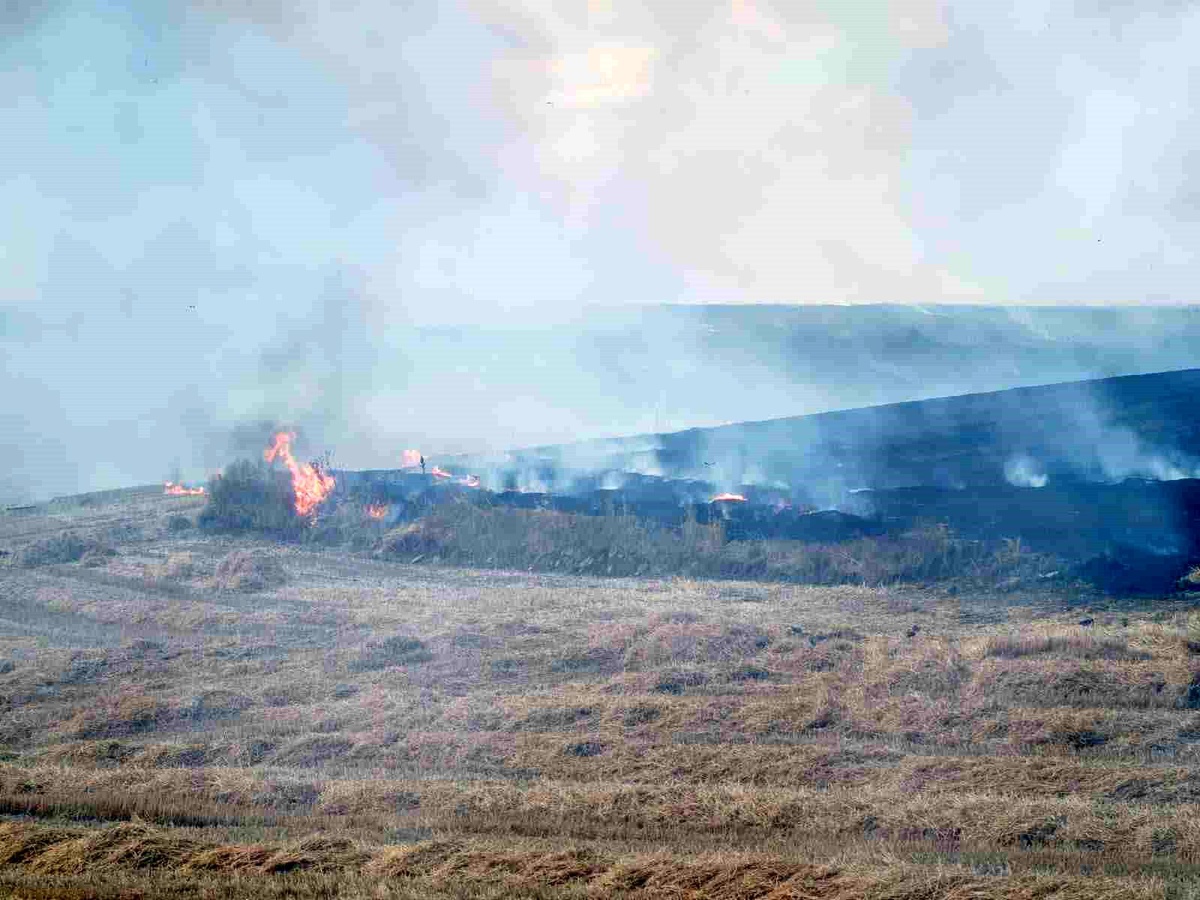 Traktörden sıçrayan kıvılcım tarlayı yaktı