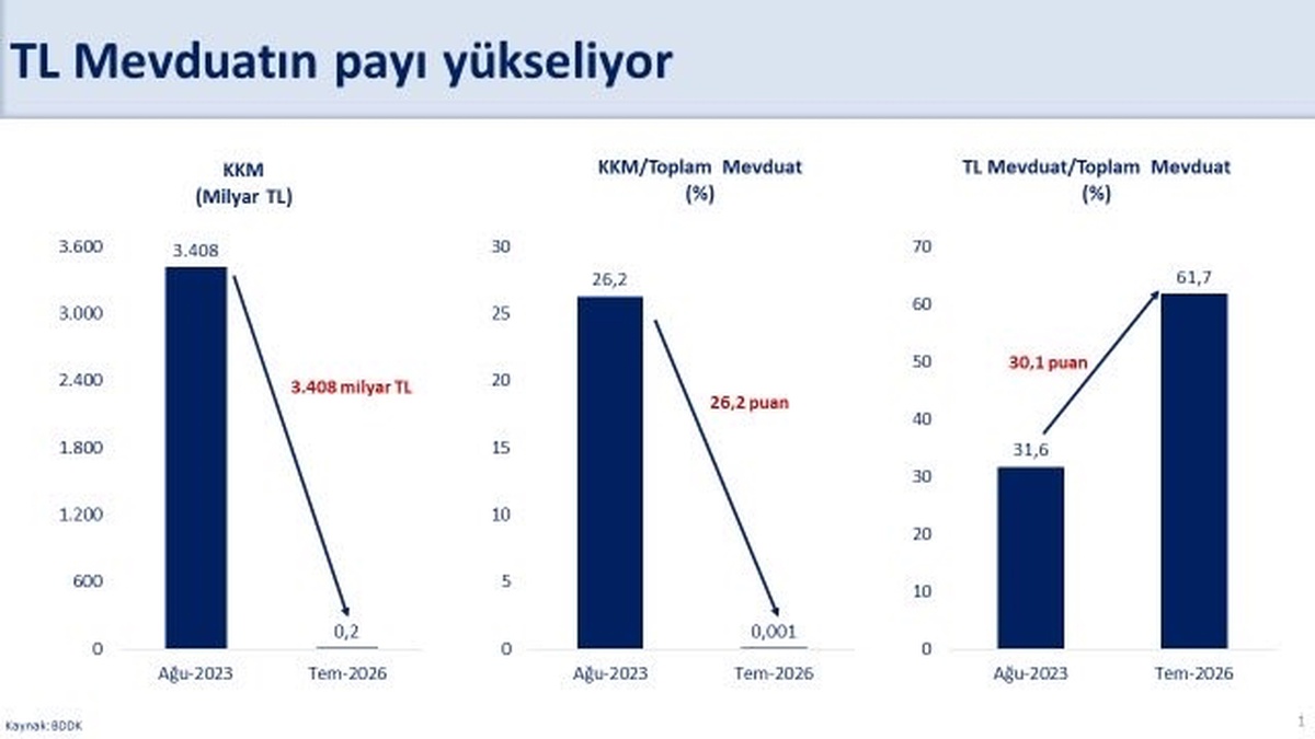 Türk Lirası Mevduat Payı Yıllık Zirvede