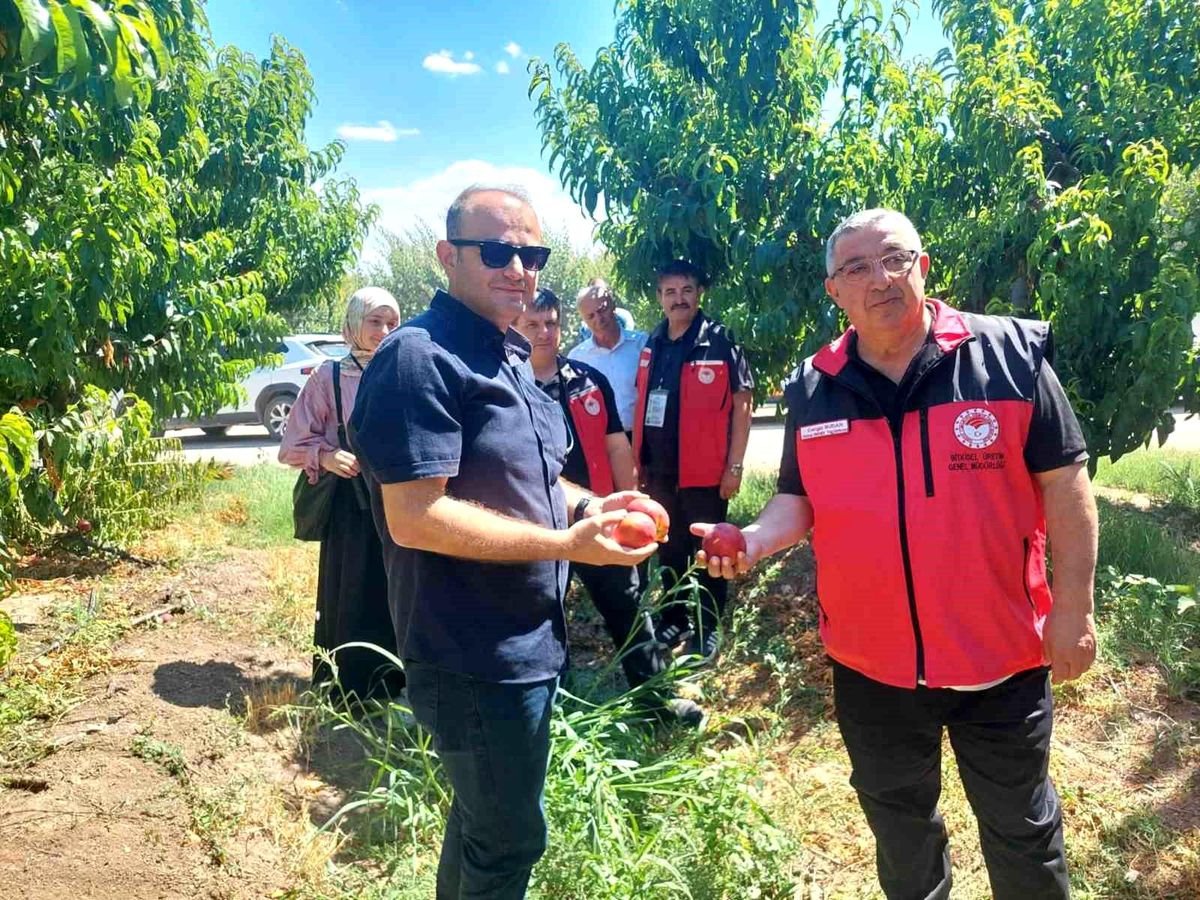 Çanakkale\'de Organik Tarım Projeleri Değerlendirildi