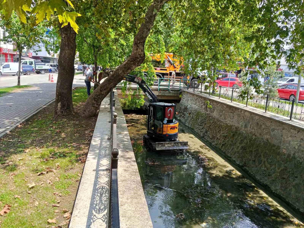 Gemlik Çarşı Deresi\'nde temizlik çalışmaları başladı