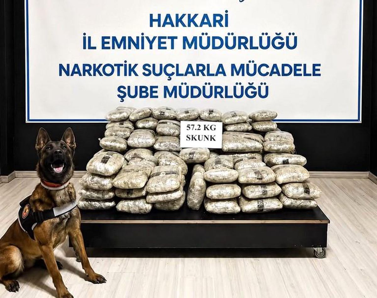 Yüksekova\'da 57 Kilo Skunk Ele Geçirildi
