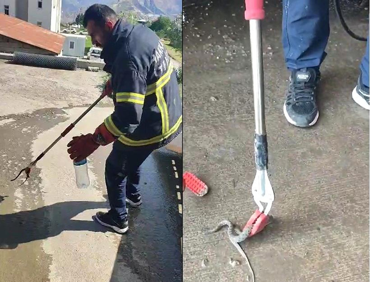 Hakkari\'de aracın motor bölmesine giren yılan çıkarıldı