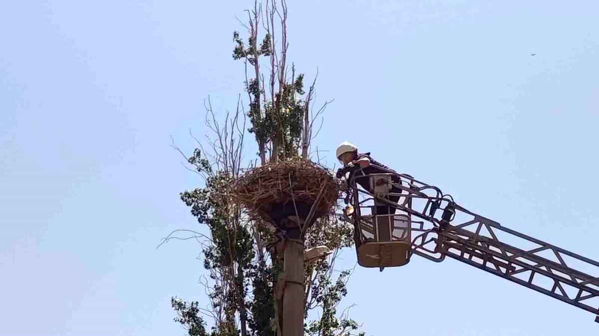 İpe dolanan leyleğin yardımına itfaiye yetişti