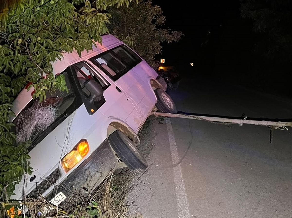 Ödemiş\'te Minibüs Ağaca Çarptı: 2 Yaralı