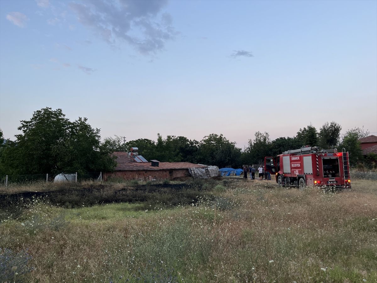 Osmancık\'ta Ot Yangını Kontrol Altına Alındı