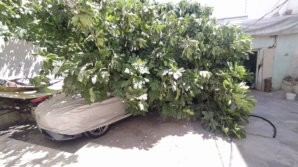 Adıyaman\'da Ağaç, Park Halindeki Aracın Üzerine Devrildi