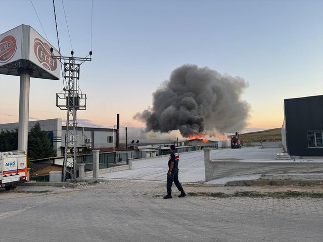 Şuhut’ta Fabrikada Yangın