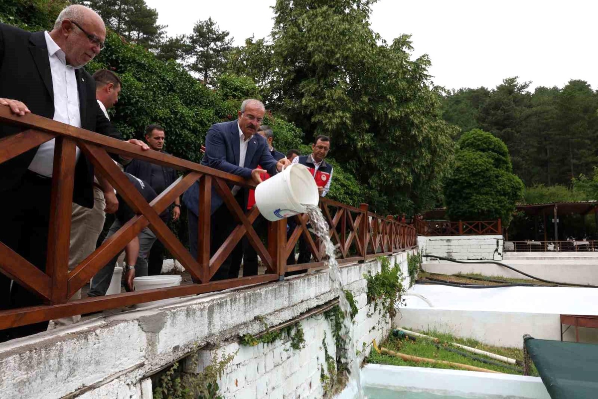 Çanakkale\'de Alabalık Yavruları Sularda