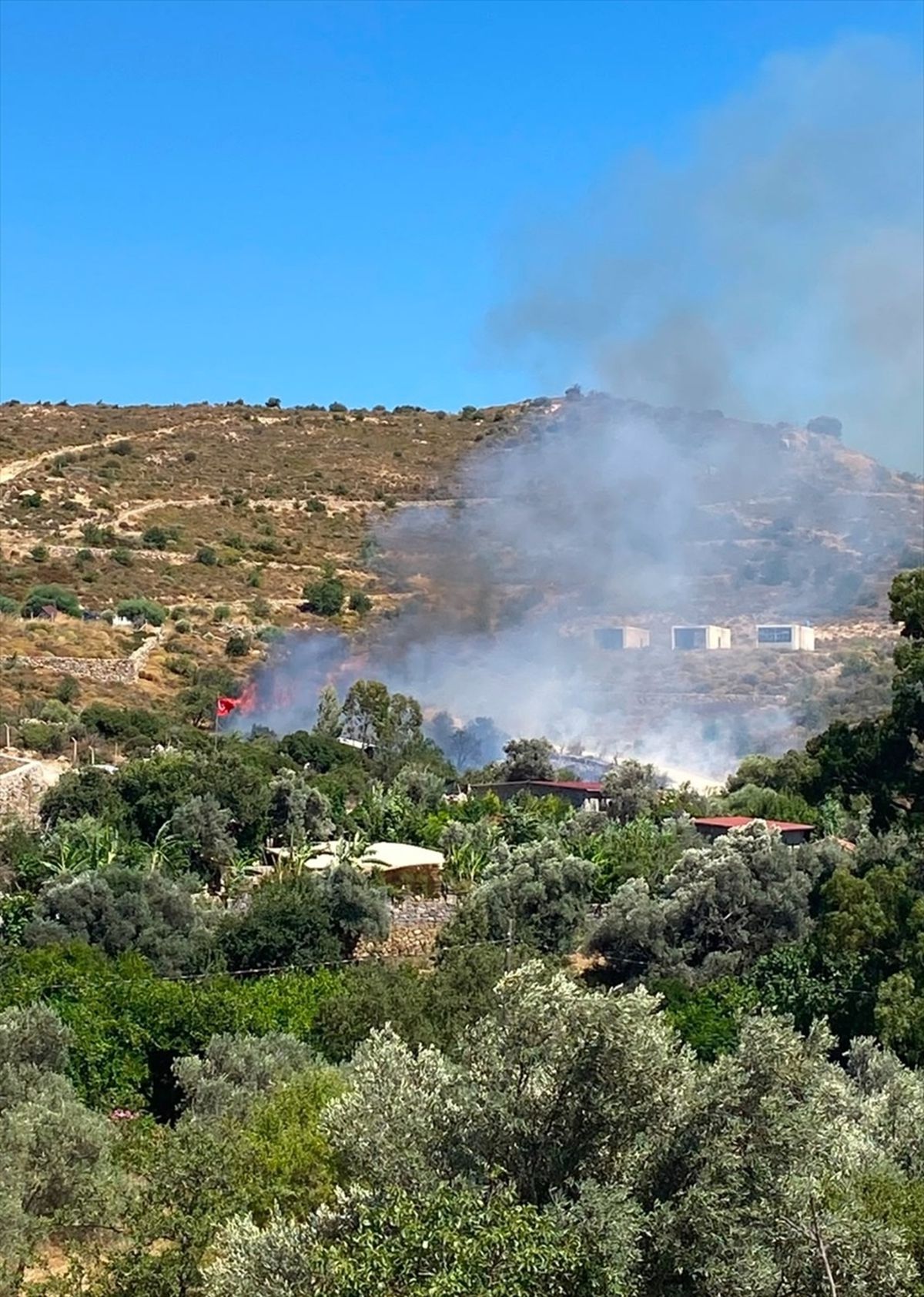 Bodrum\'da Yangın: Hava ve Kara Ekipleri Mücadele Ediyor