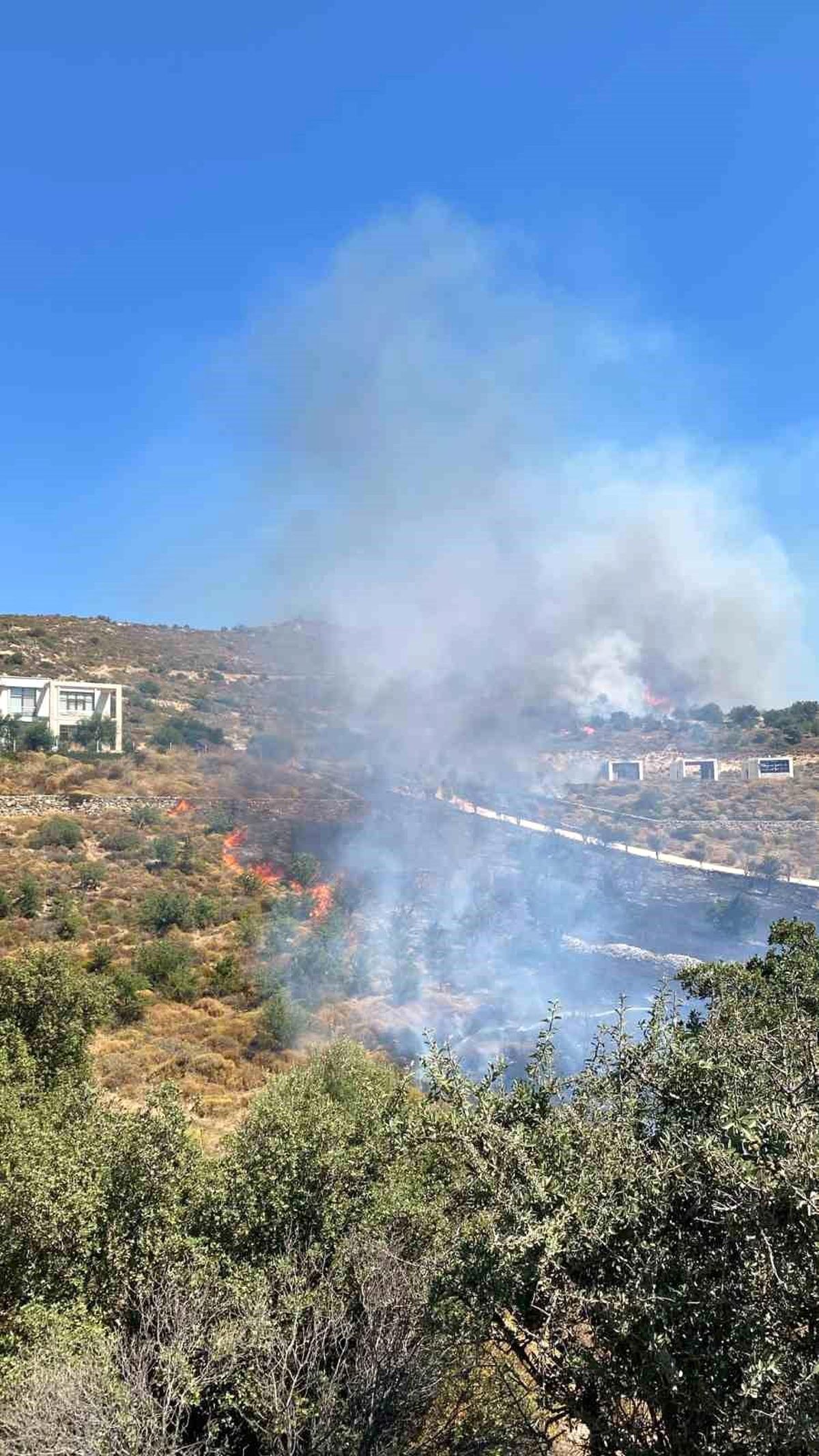 Bodrum\'da makilik yangını