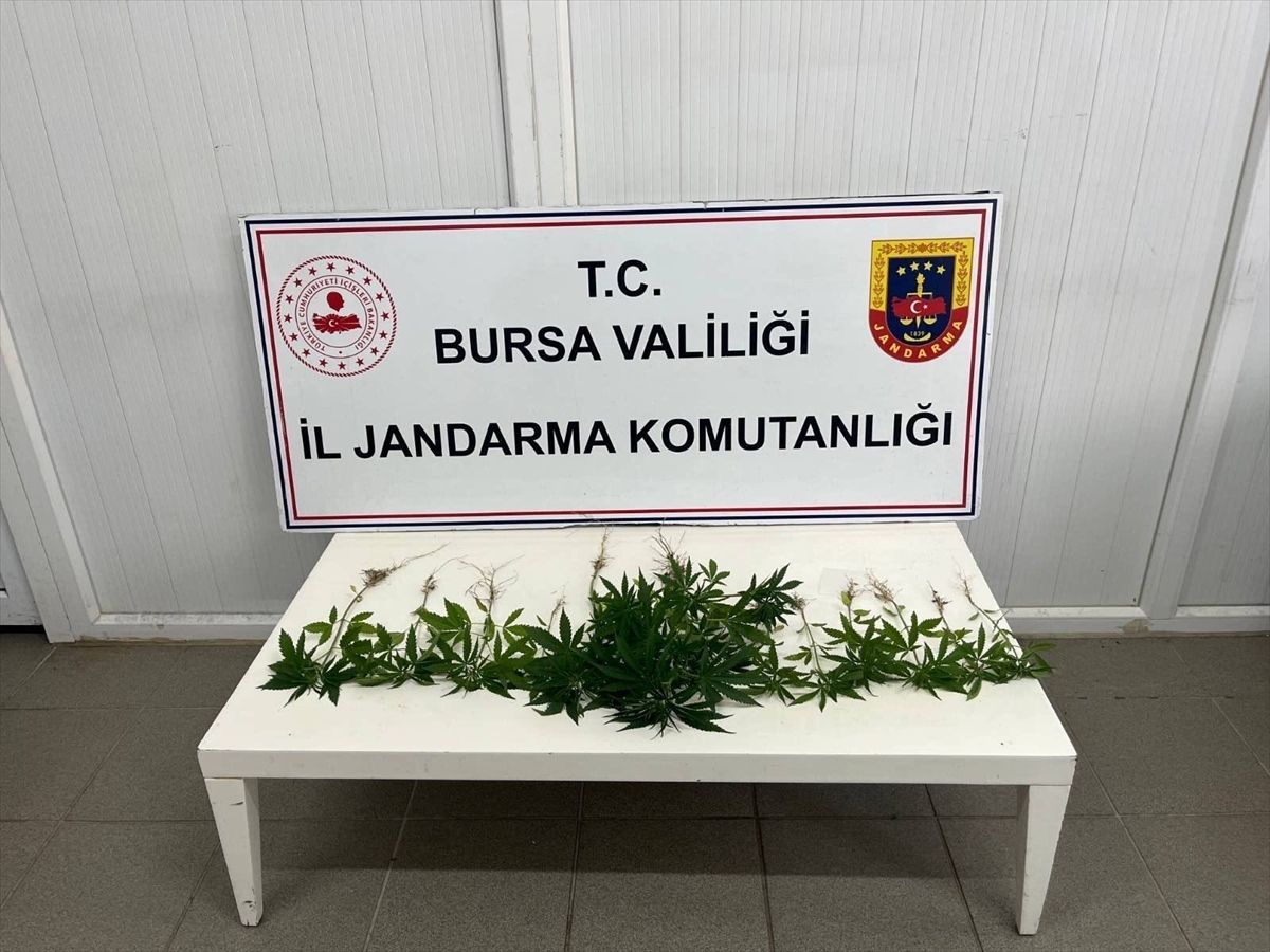 Bursa\'da Uyuşturucu Operasyonu: 3 Gözaltı