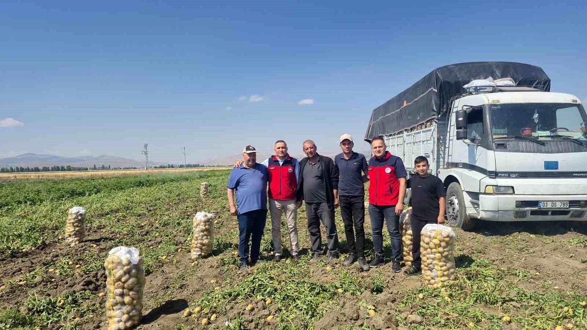 Çölovası Patatesinde Hasat Sezonu Başladı