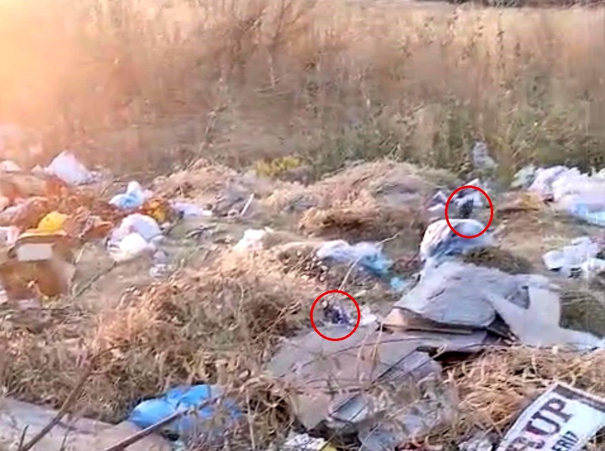 Diyarbakır\'da Çöpler Fare Yuvasına Döndü