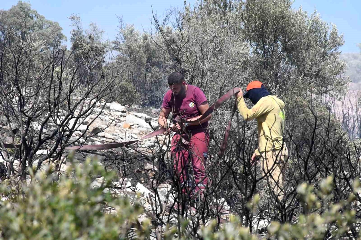 İzmir\'de ormanlık alanda çıkan yangın erken müdahaleyle kontrol altında