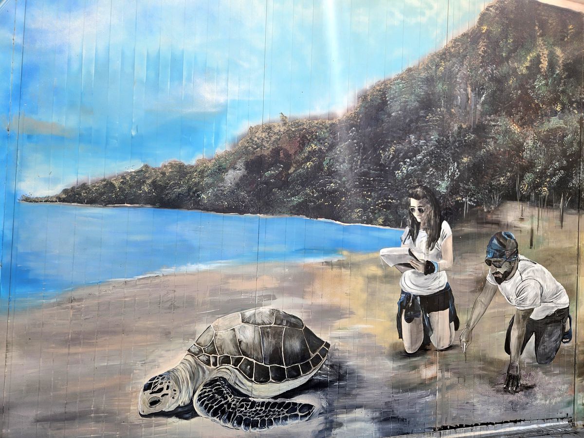 Caretta Caretta Yuvaları Korunuyor
