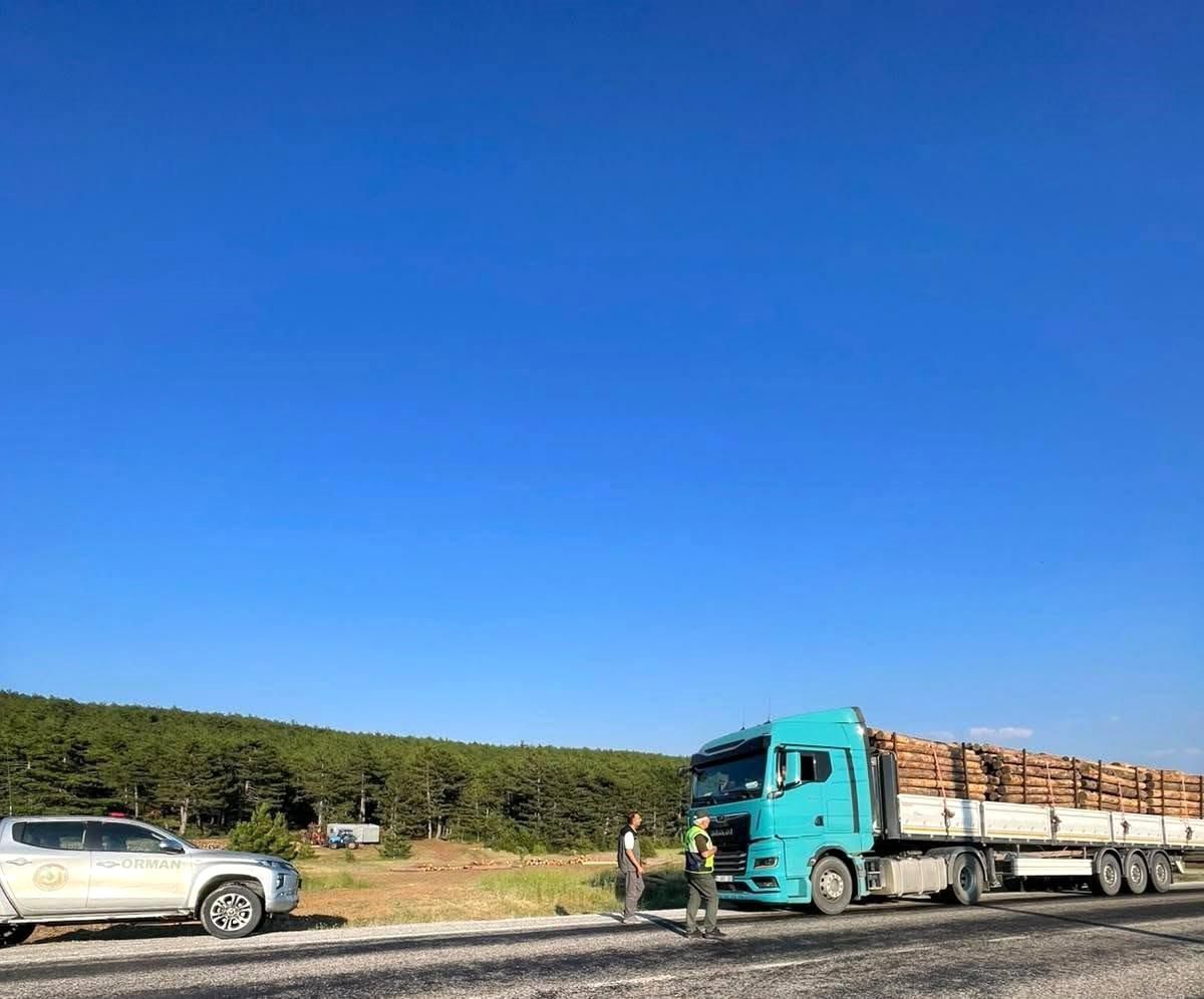 Kütahya\'da Orman Kaçakçılığına Karşı Denetimler Devam Ediyor