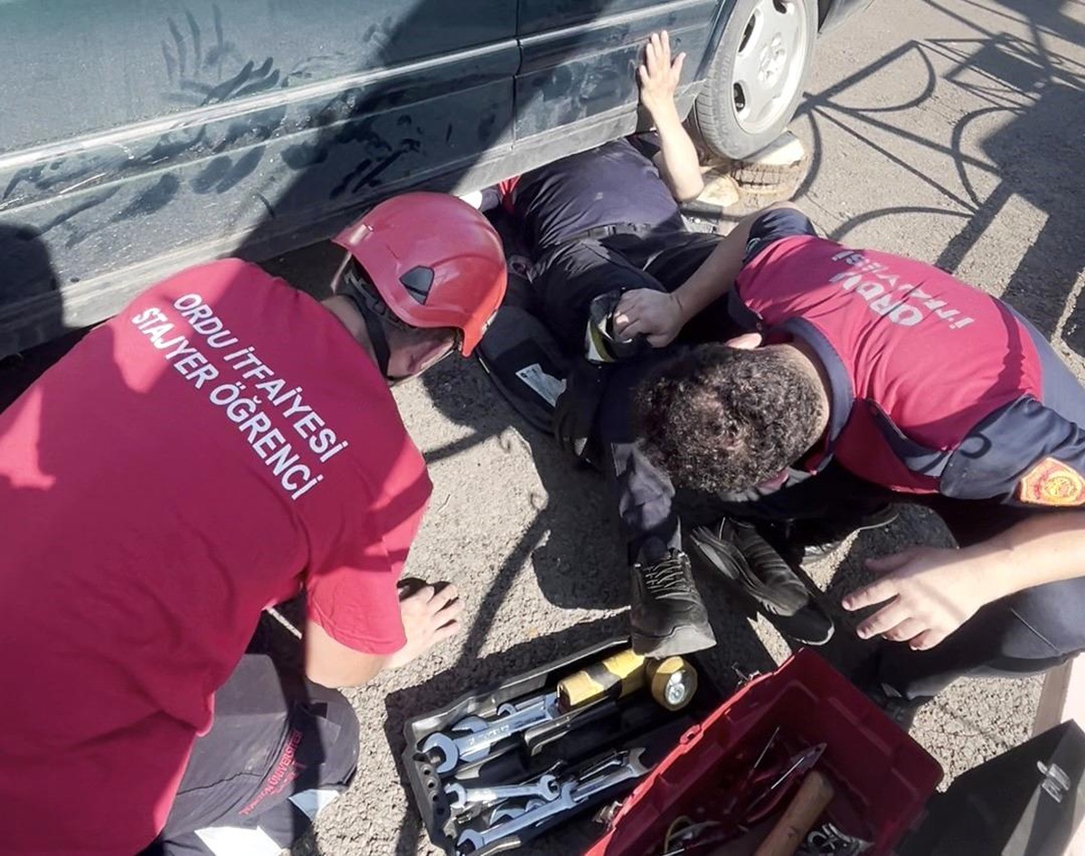 Ordu\'da otomobilin egzoz muhafazasına sıkışan yavru kedi kurtarıldı