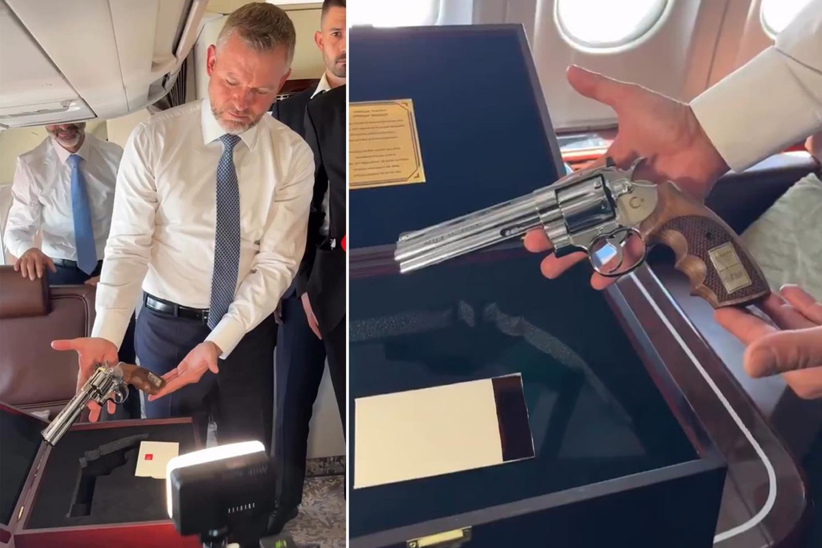 Slovak Cumhurbaşkanı, Erdoğan'ın hediyesini gazetecilere gösterdi - Son Dakika